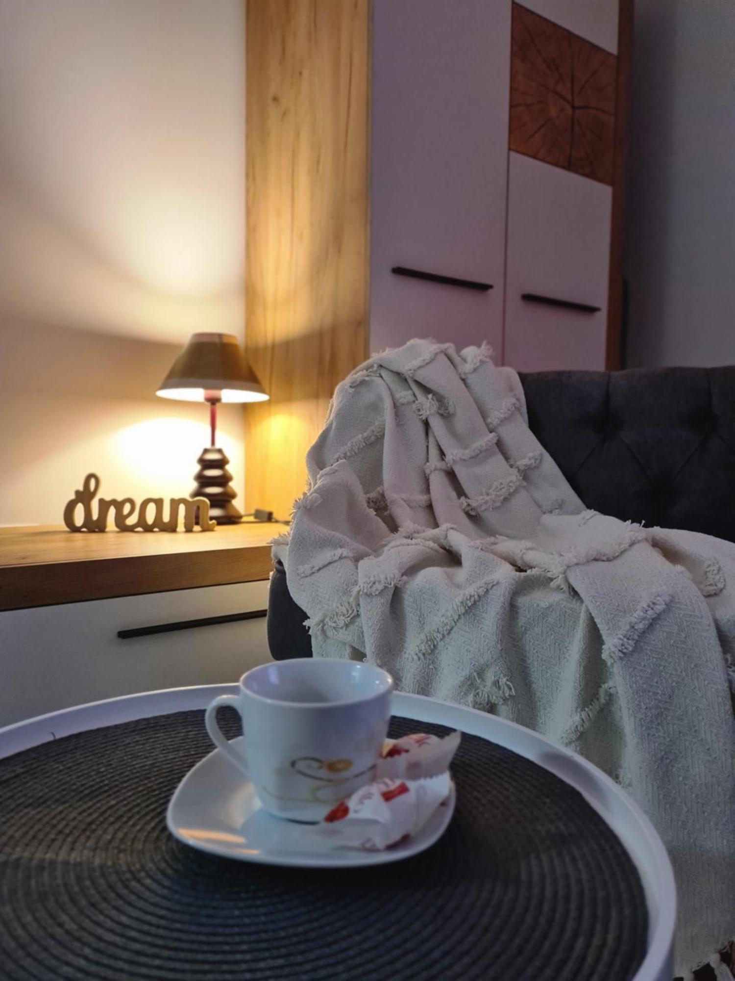 Studio Red Apartment Брашов Екстериор снимка